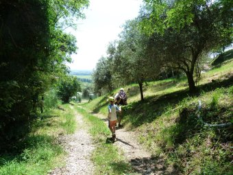 Verso Maser