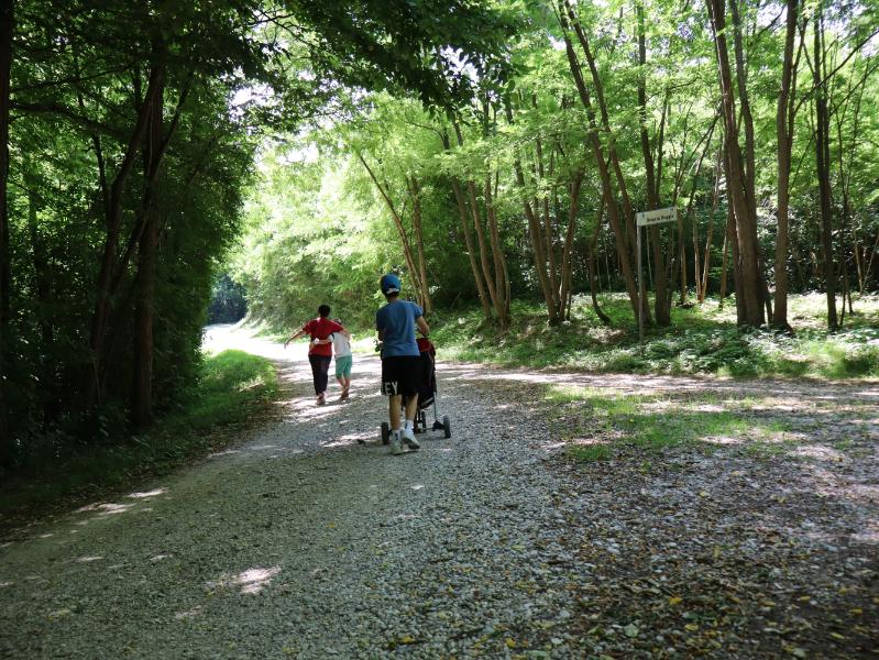 Ormai sulla strada di casa