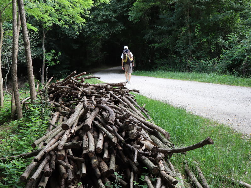 Via Carretta