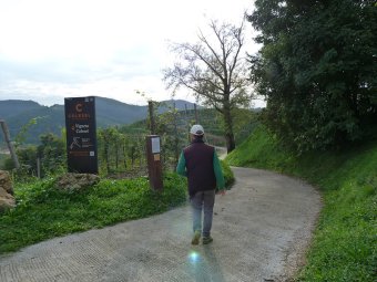 Indicazioni Anello Prosecco Superiore