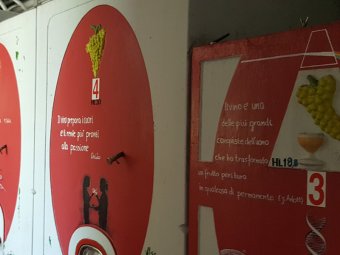 Interno Cantina Zilli