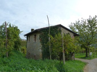 Casolare tra i vigneti