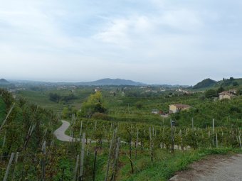 Panorama sulle Colline del Prosecco