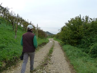 Raggiunta la strada bianca a destra