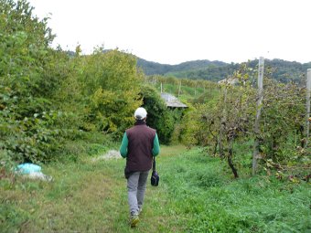 Seguiamo il viottolo tra i vigneti