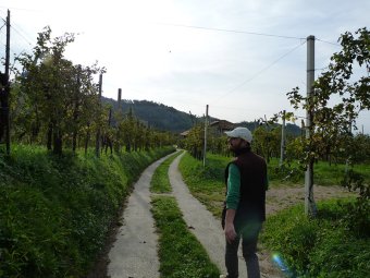 Tra le vigne del Cartizze