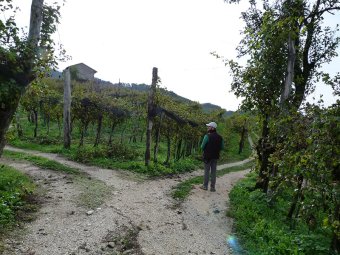 Teniamo la destra al bivio
