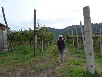 Si scende verso la stradina bianca