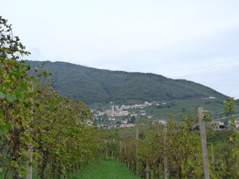 Vista su Santo Stefano di Valdobbiadene