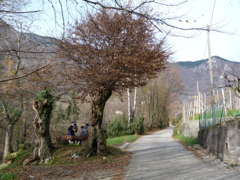 La panchina lungo la strada vecia