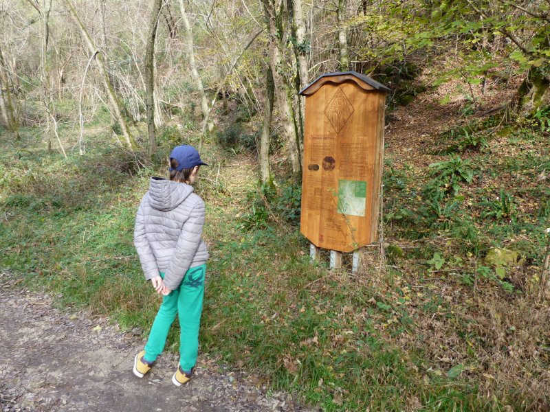 Pannello illustrativo