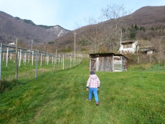 L'unico tratto sterrato