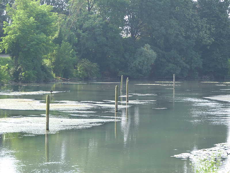 Bricole lungo il Sile