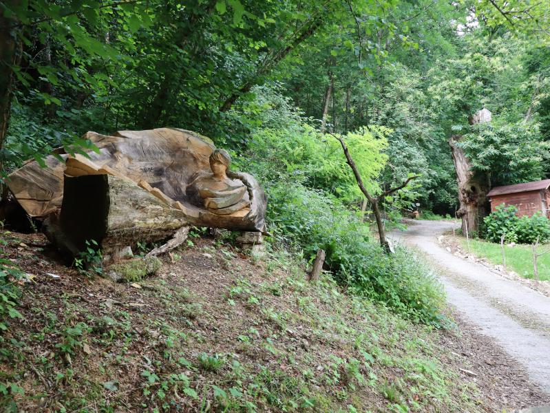 Saliamo per vedere le altre sculture di BoscArt