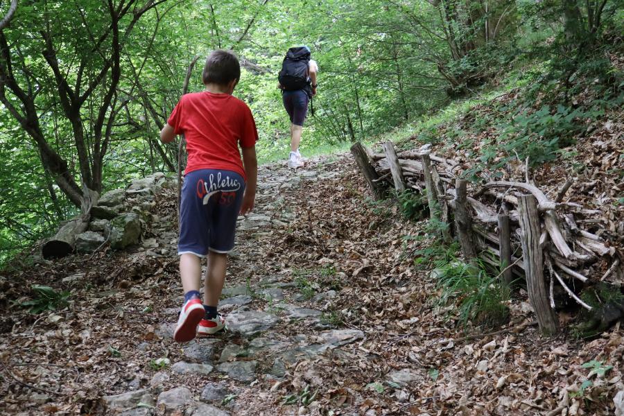 La strada de la Fan