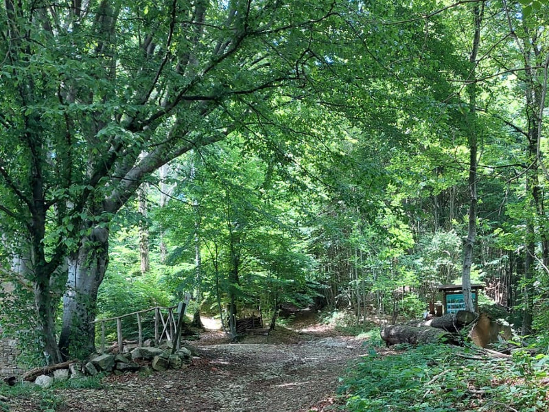 Punto di osservazione Flora e Fauna locale