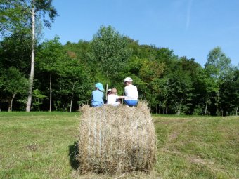 Arrampicata balle di fieno
