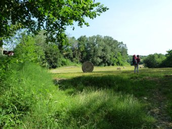 Costeggiamo la vegetazione