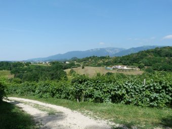 Panorama verso il Monte Grappa