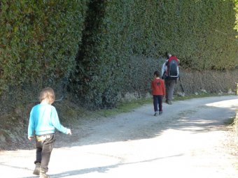 Strada bianca costeggiando una grande siepe