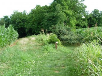 Via Vallon 1a freccia