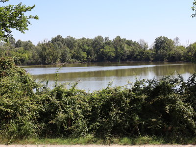 Parco Laghetti Martellago